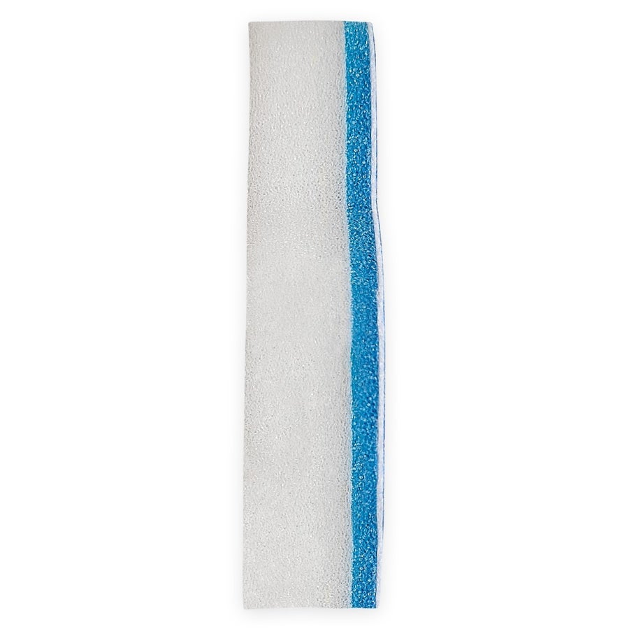Disneyland Blue Monorail Sponge