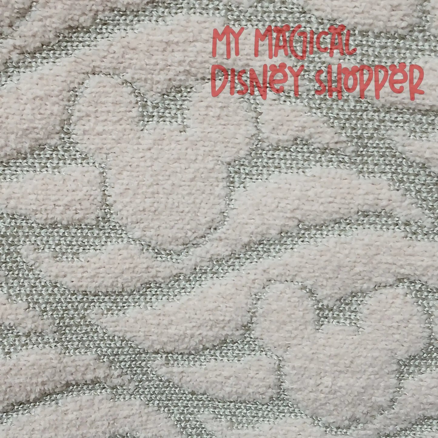 Disney Cruise Line WISH Blanket