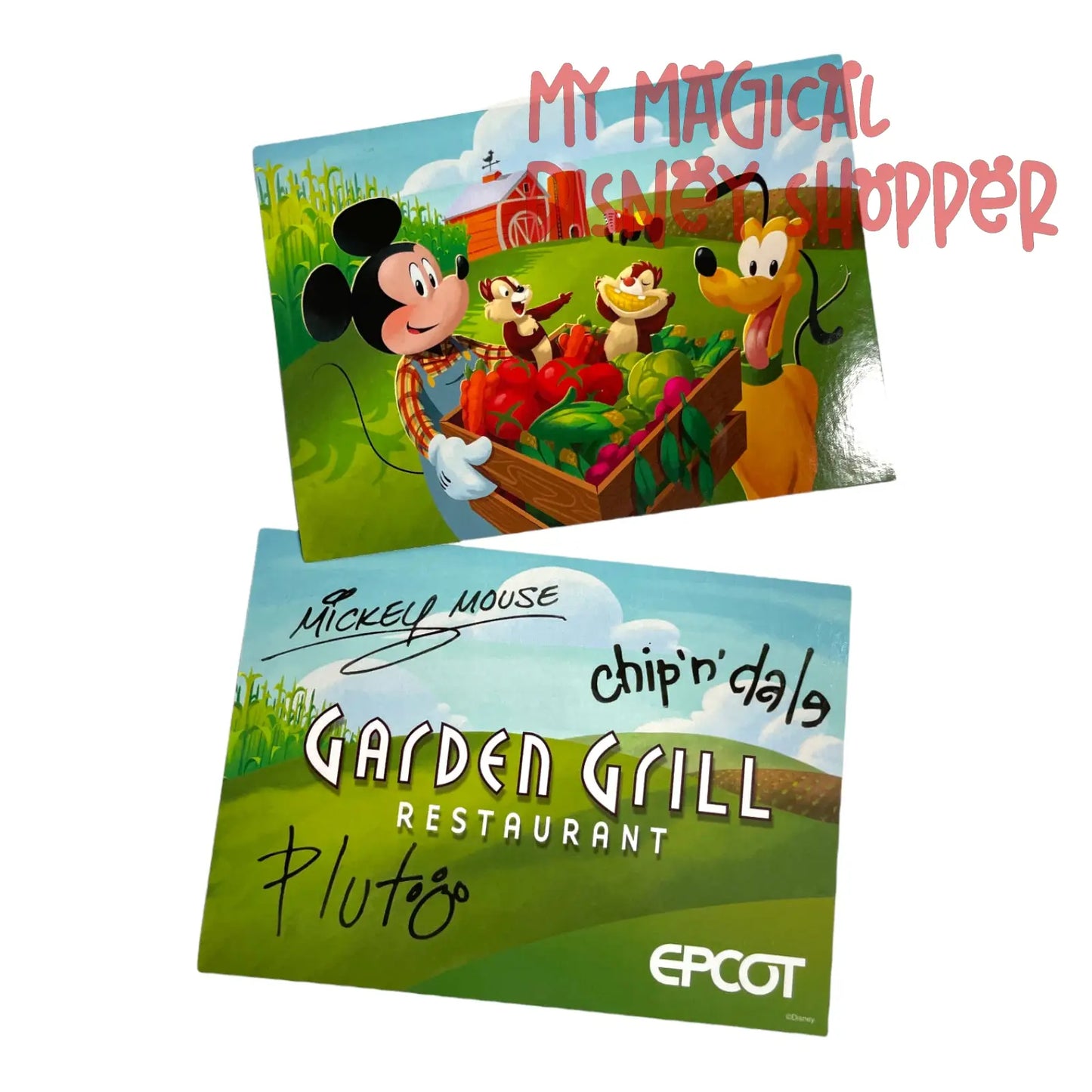 EPCOT Garden Grill Restaurant Signed Post Card