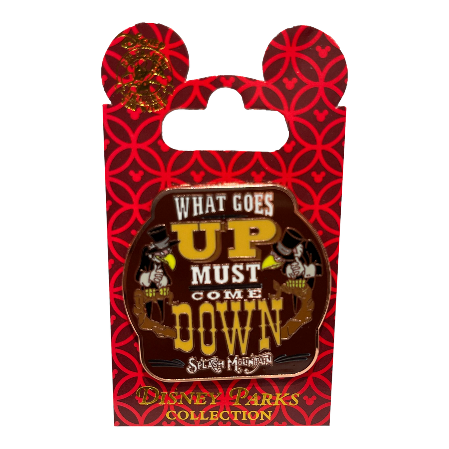 What Goes Up Must Come Down Splash Mountain Pin