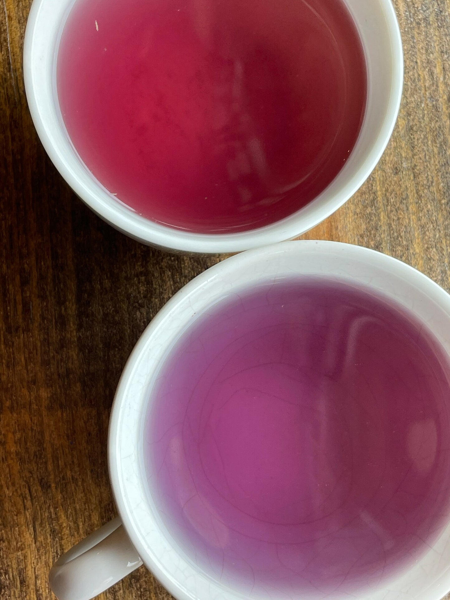 Sea Witch - Cherry Kiwi Coconut Decaf Fruit Blend