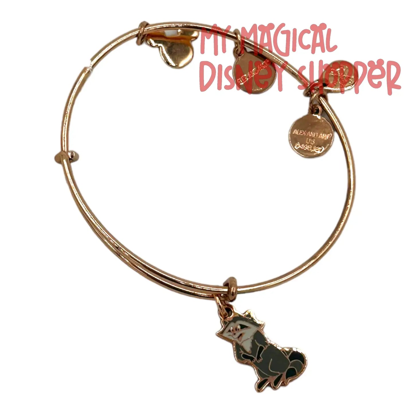 Meeko Bangle by Alex and Ani – Pocahontas