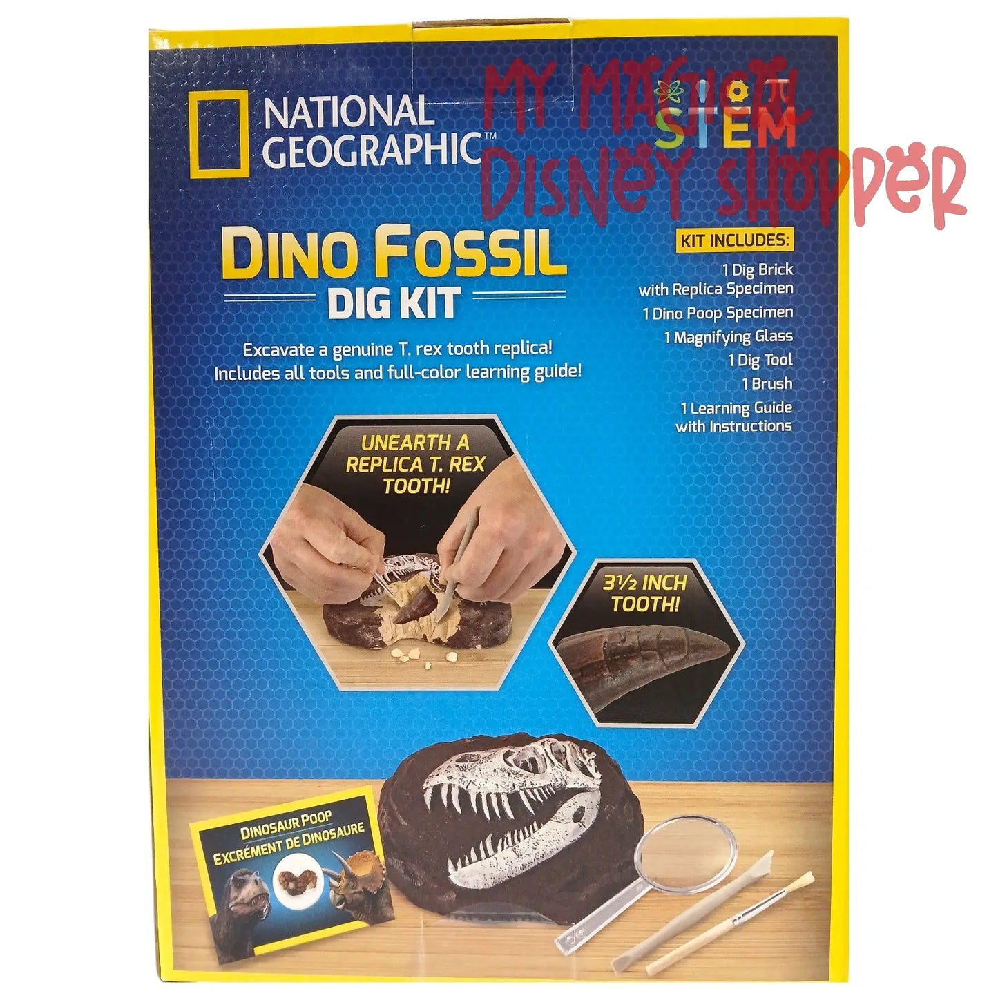 National Geographic Dino Fossil Dig Kit