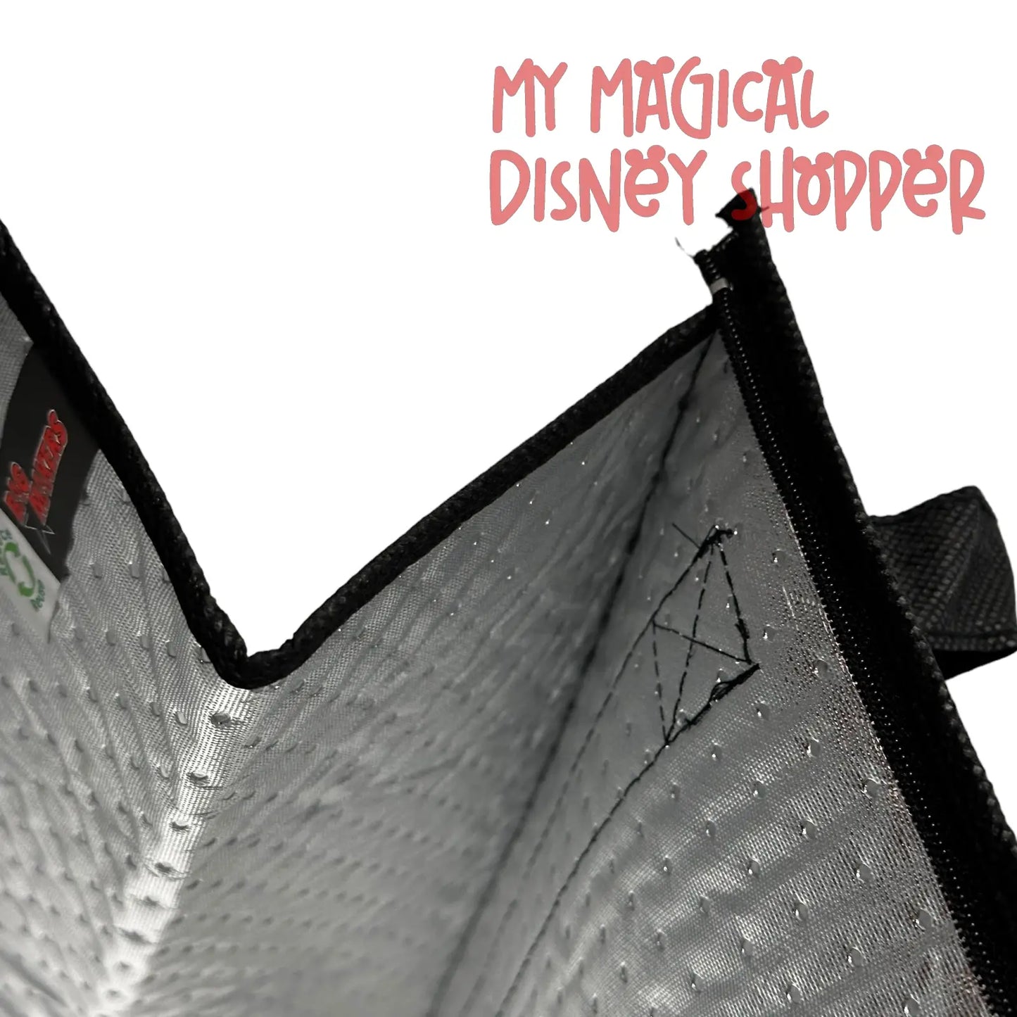 Walt Disney Company Insulated Bag