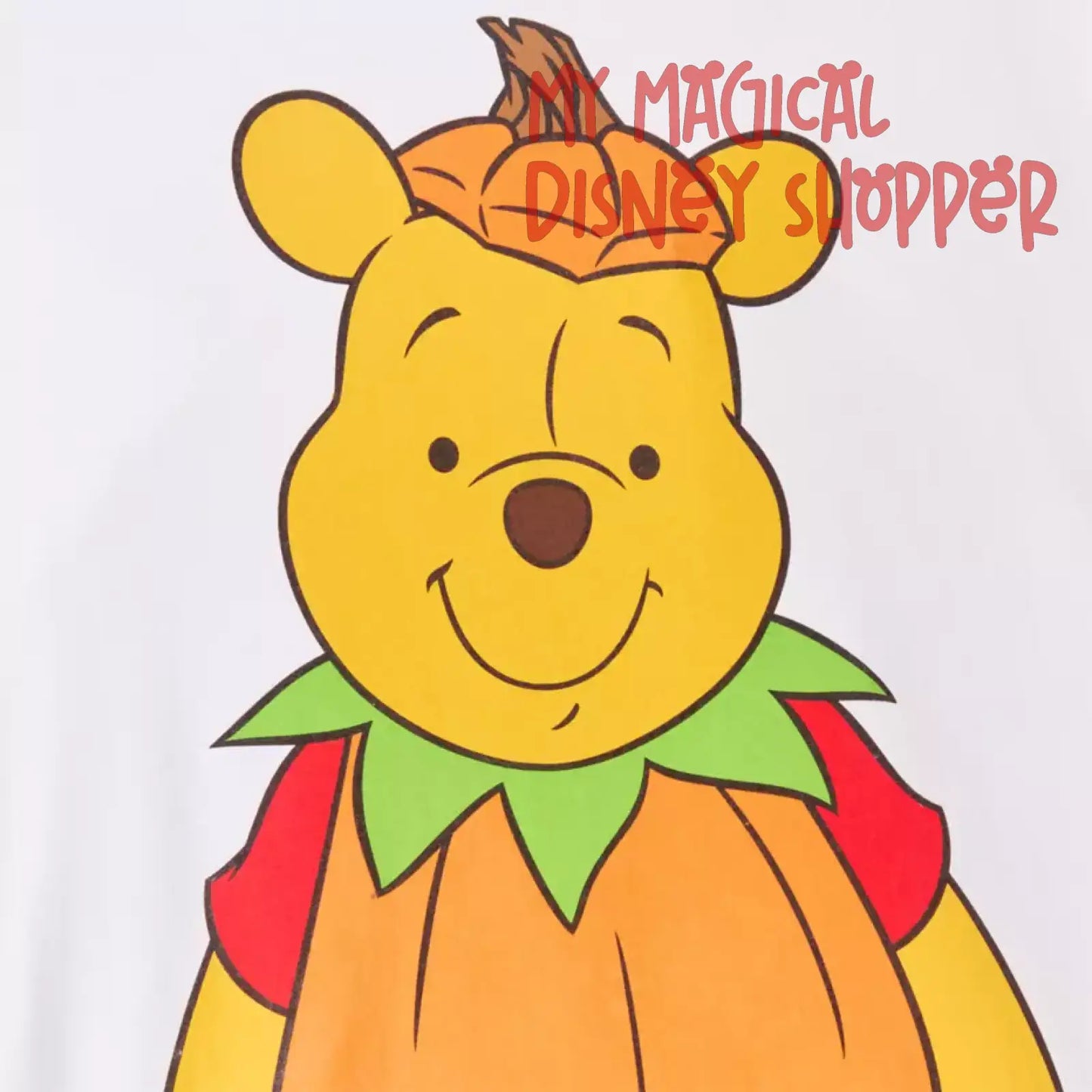 Winnie the Pooh and Tigger Halloween T-Shirt for Adults