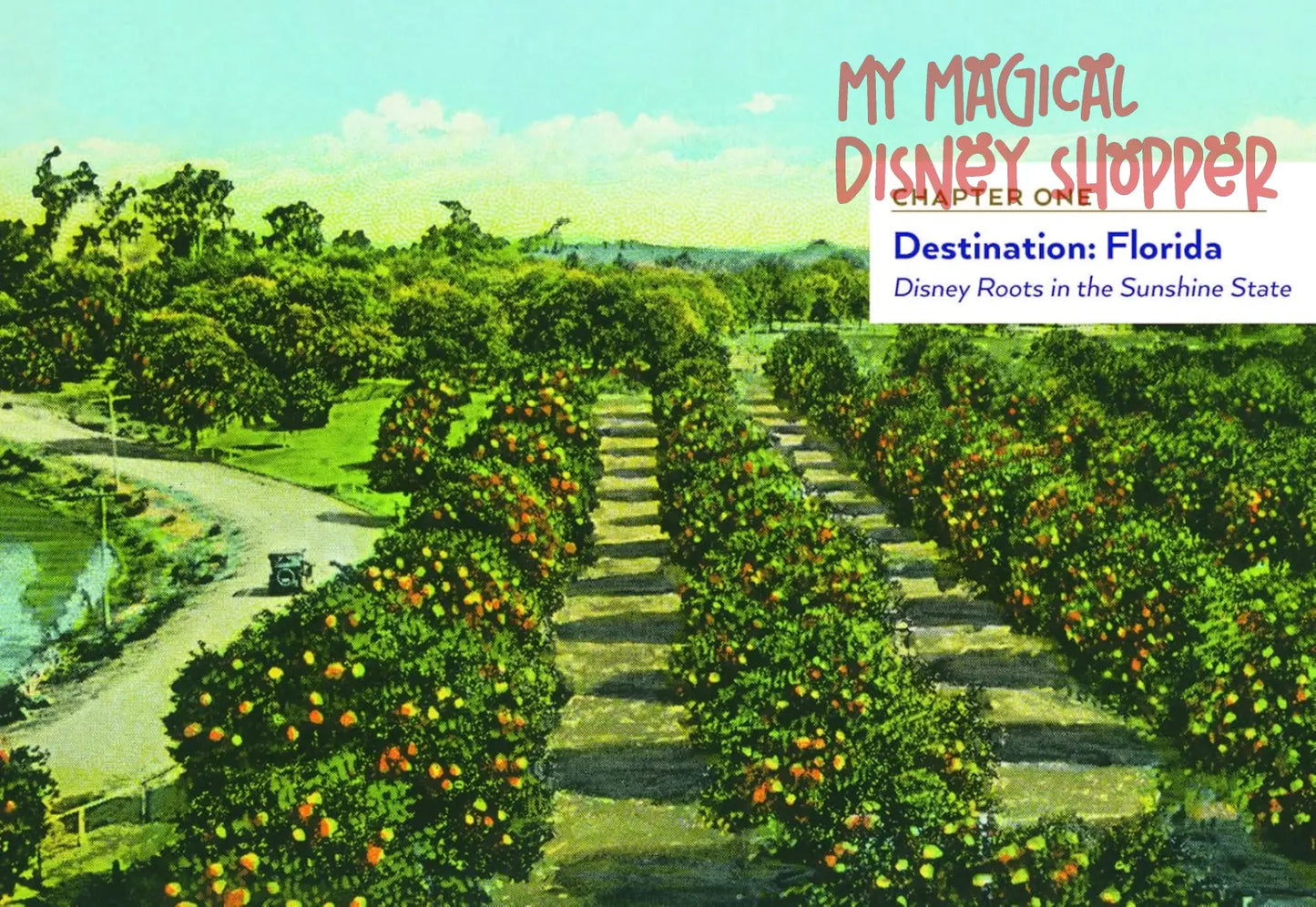 A Portrait of Walt Disney World: 50 Years of The Most Magical Place on Earth Hard Cover Book