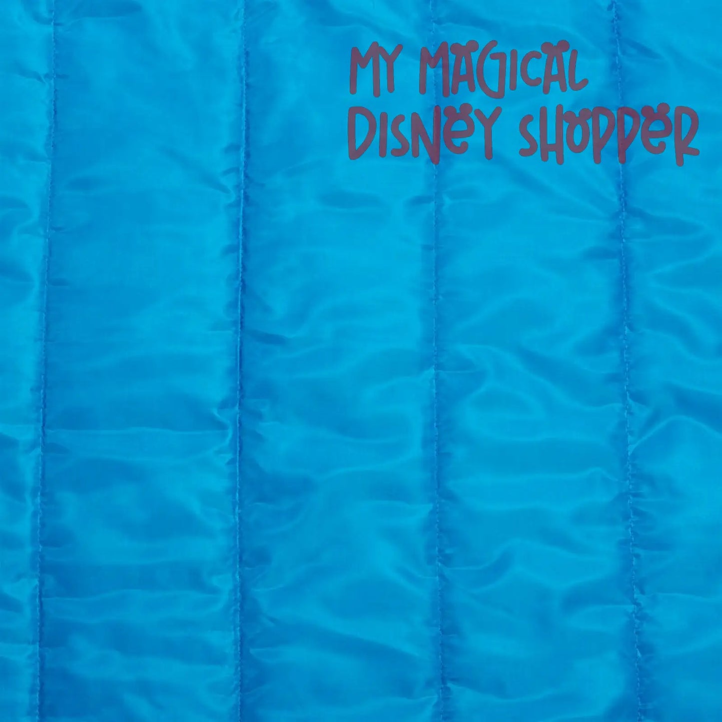 Disney Parks Joey Chou Magic Kingdom Reusable Picnic Blanket