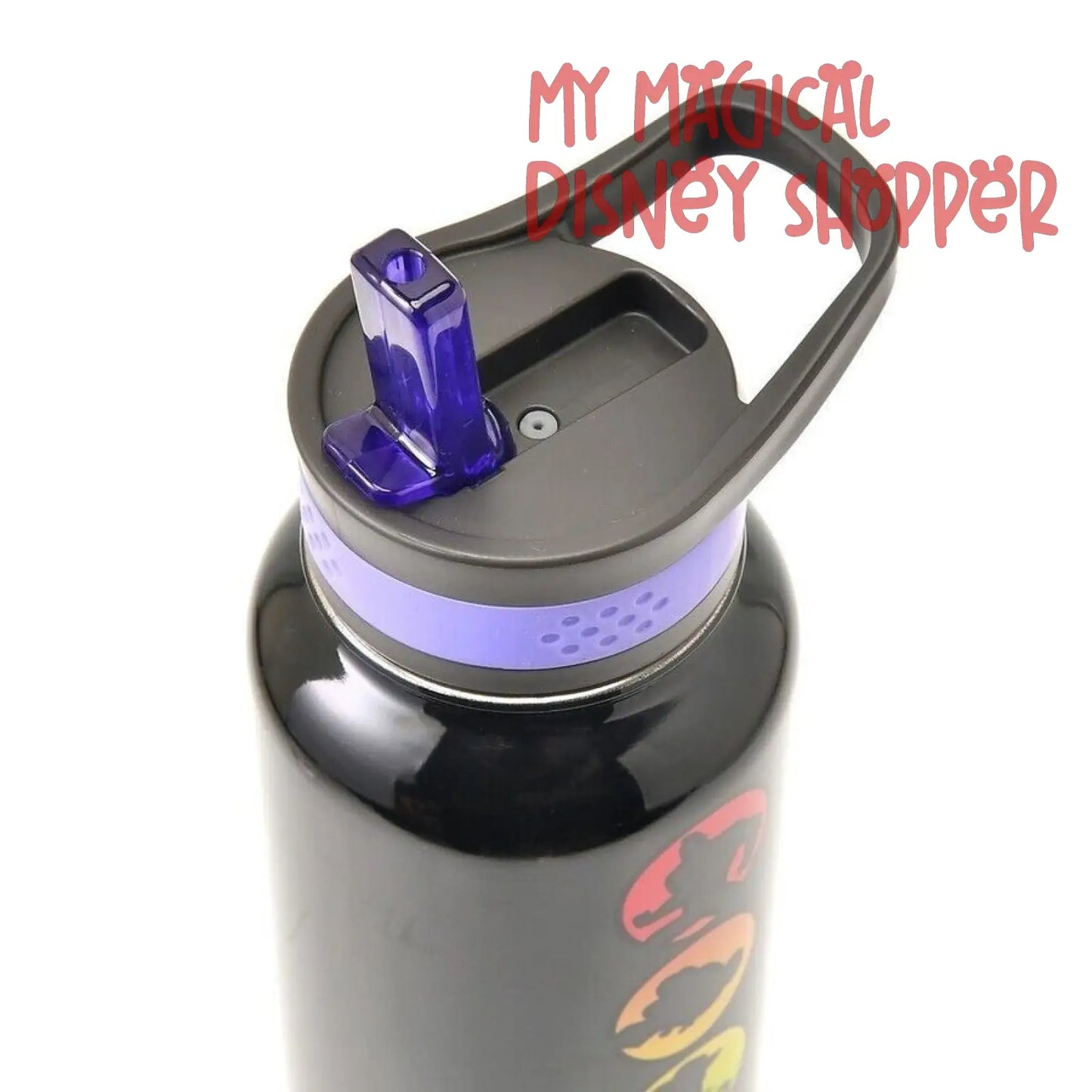 HEATHER LOCATION Disney & Pixar Character Water Bottle - Disney Pride Collection