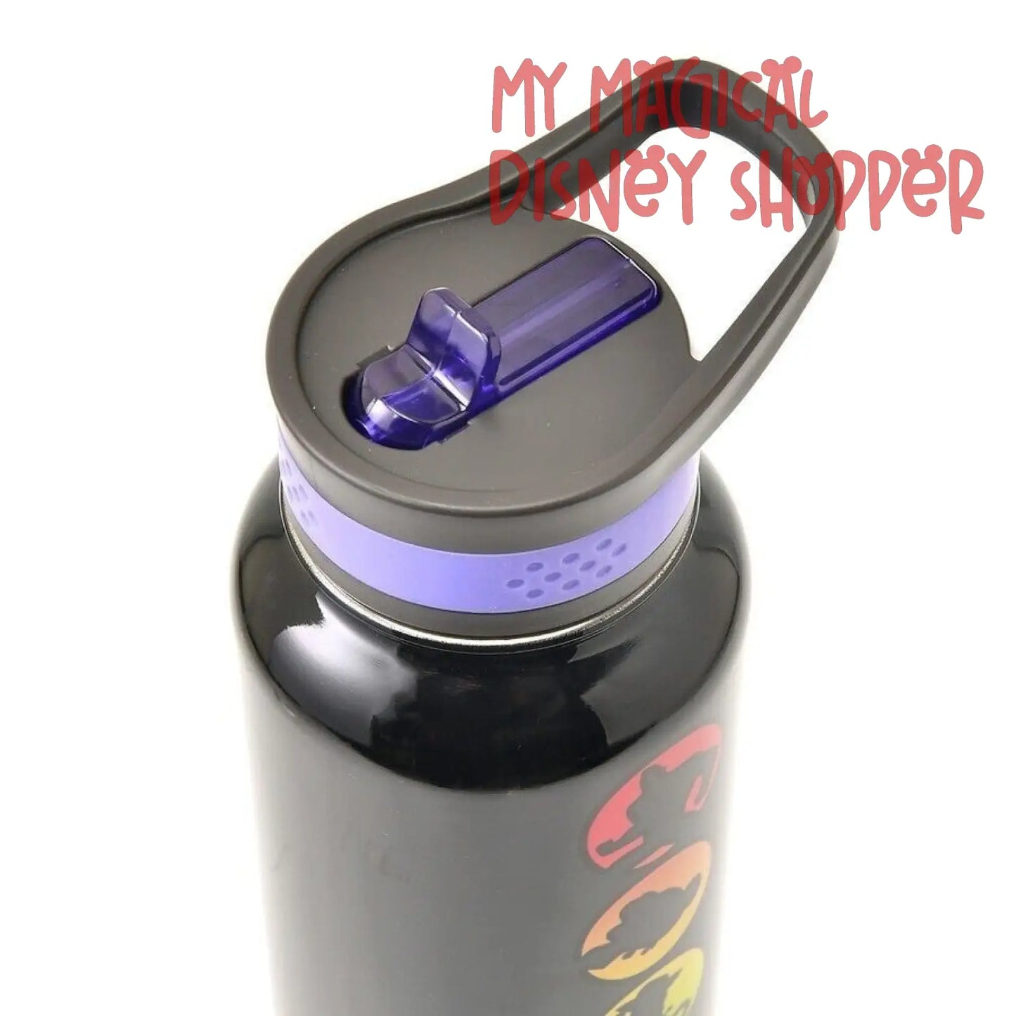 HEATHER LOCATION Disney & Pixar Character Water Bottle - Disney Pride Collection
