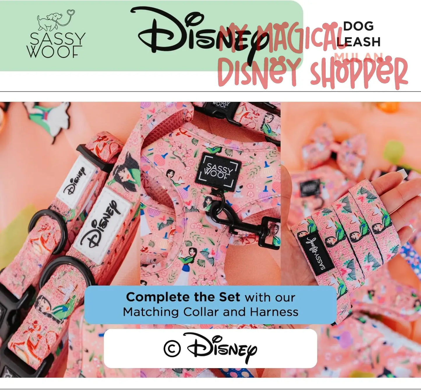 Disney Princess Mulan Dog Leash 60-Inch with Neoprene Padded Handle - Comfortable, Durable, and Stylish for Small to Large Dogs