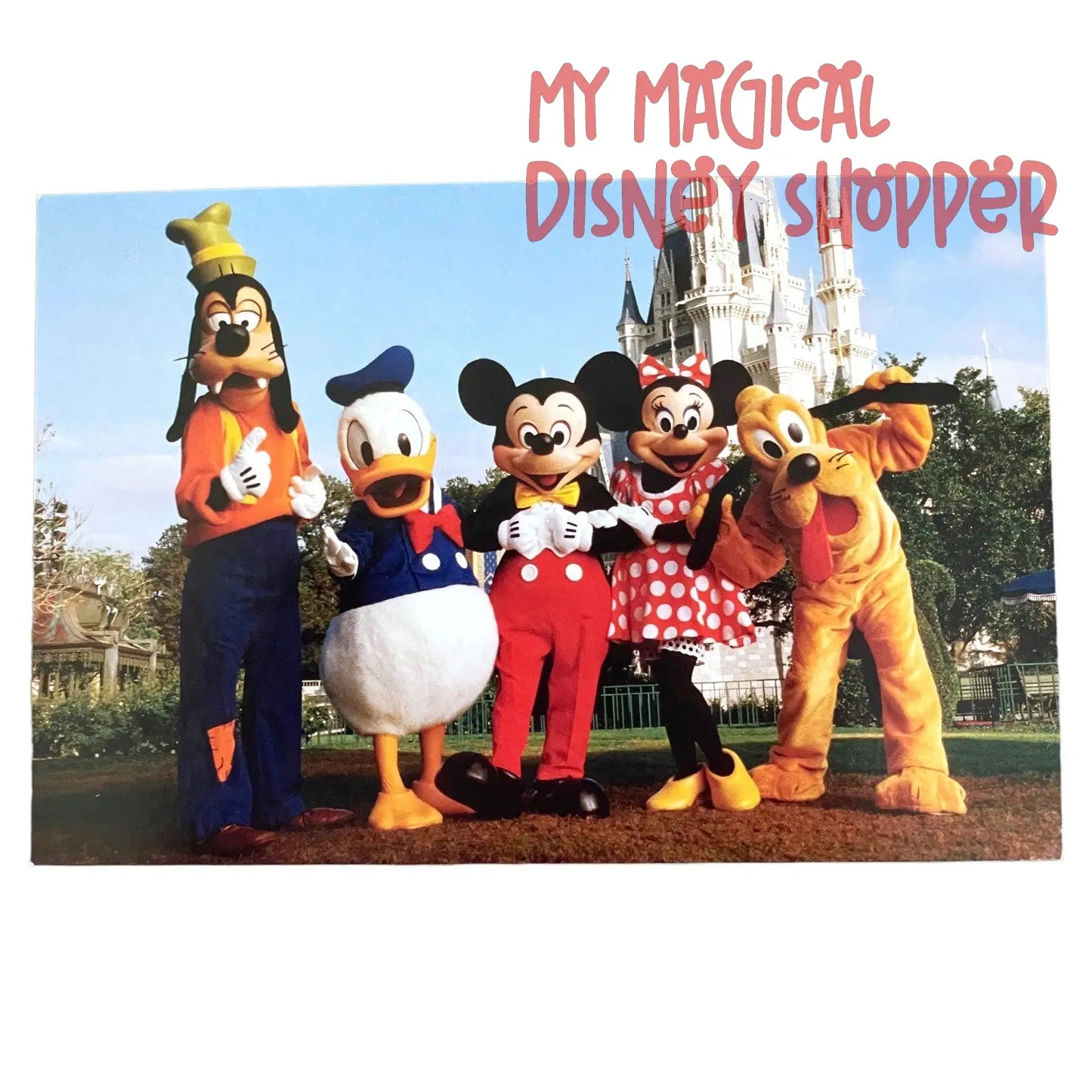 Magic Kingdom Park Cinderella Castle Mickey and Friends Disney Postcard