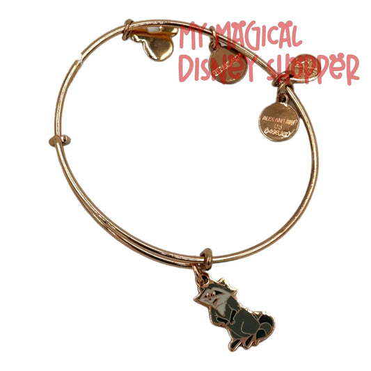 Meeko Bangle by Alex and Ani – Pocahontas