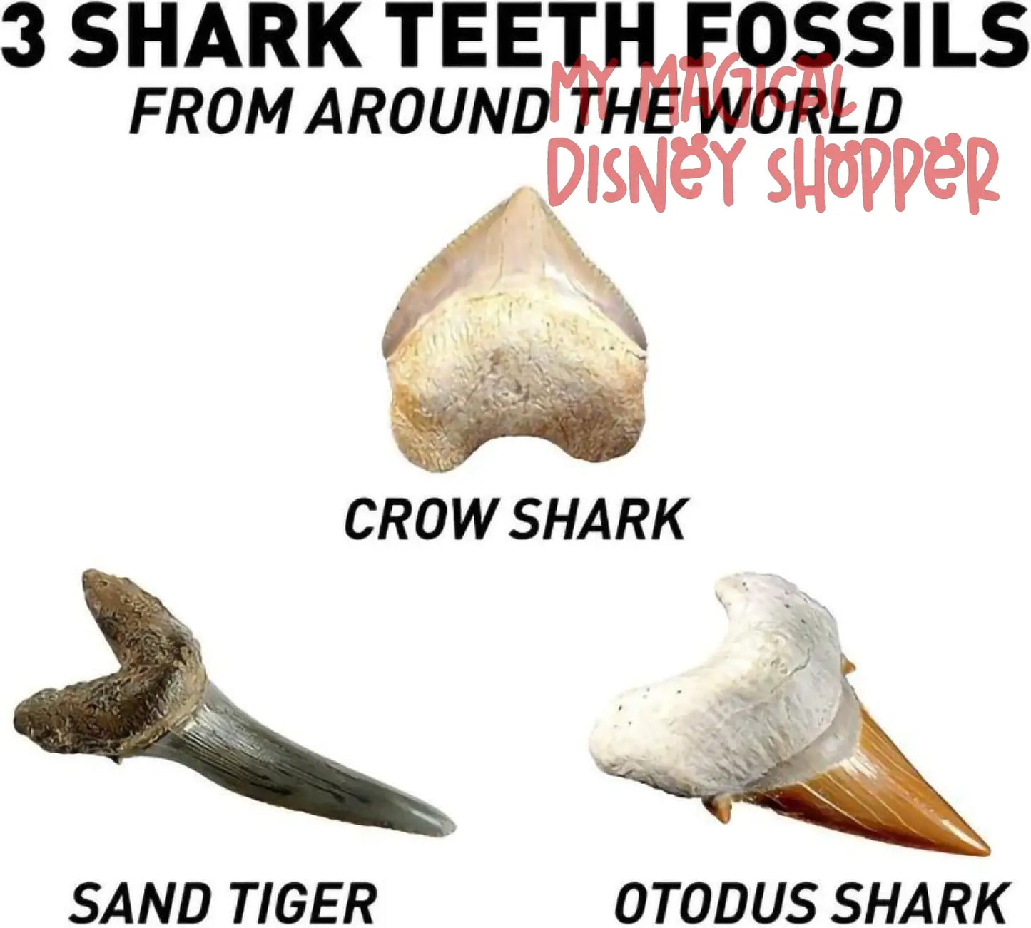 National Geographic Shark Tooth Dig Kit