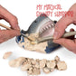 National Geographic Shark Tooth Dig Kit