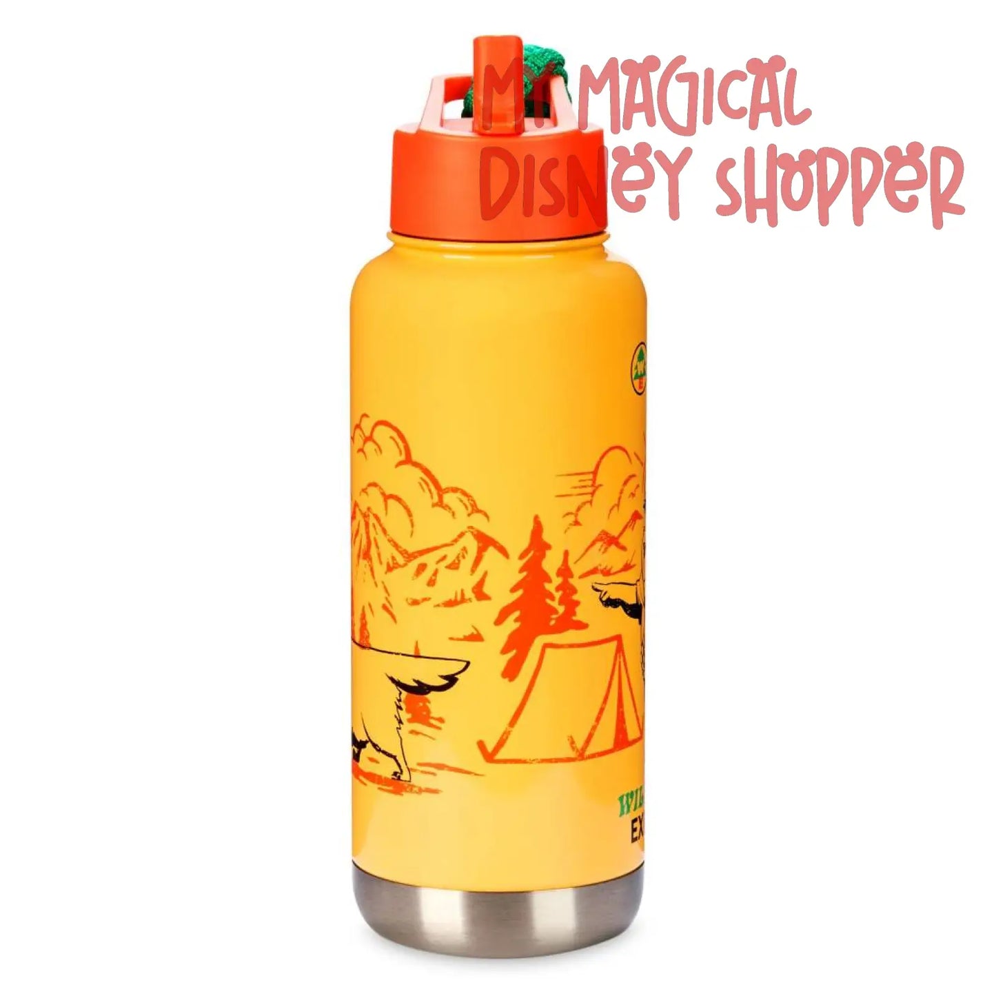 Up Russell and Dug Wilderness Explore Disney Water Bottle