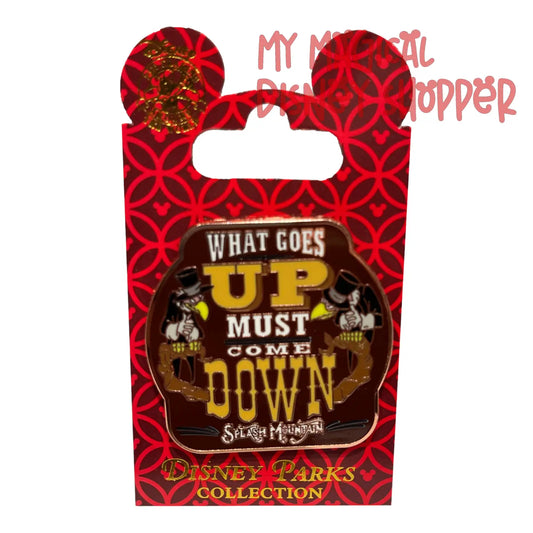 What Goes Up Must Come Down Splash Mountain Pin