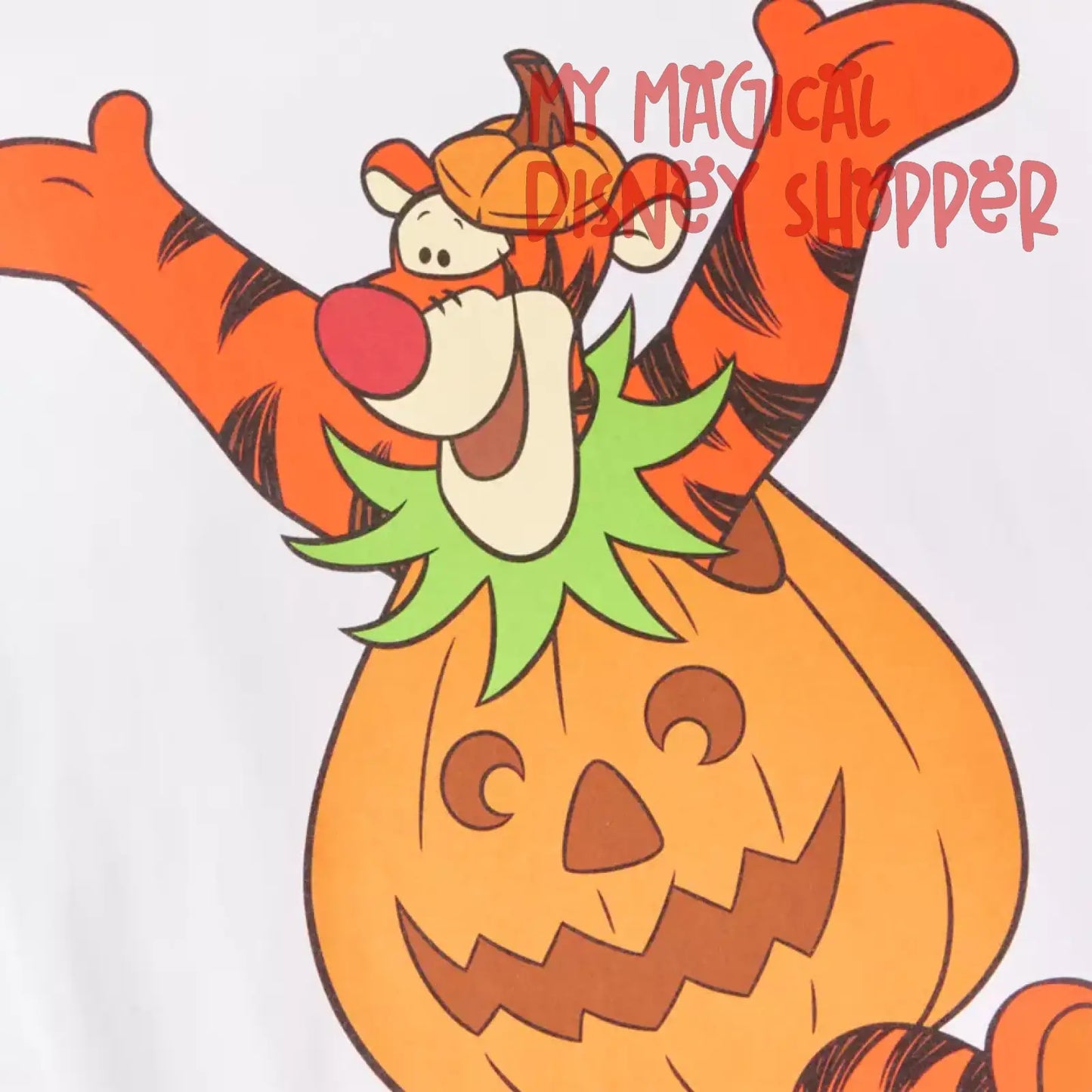 Winnie the Pooh and Tigger Halloween T-Shirt for Adults