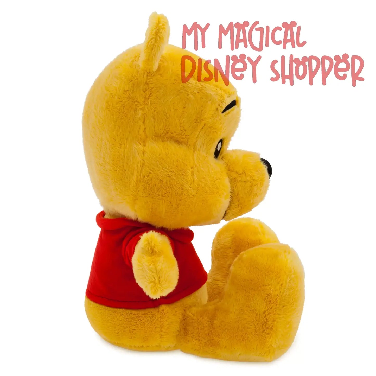 Winnie the Pooh Big Feet Plush – Small 10''