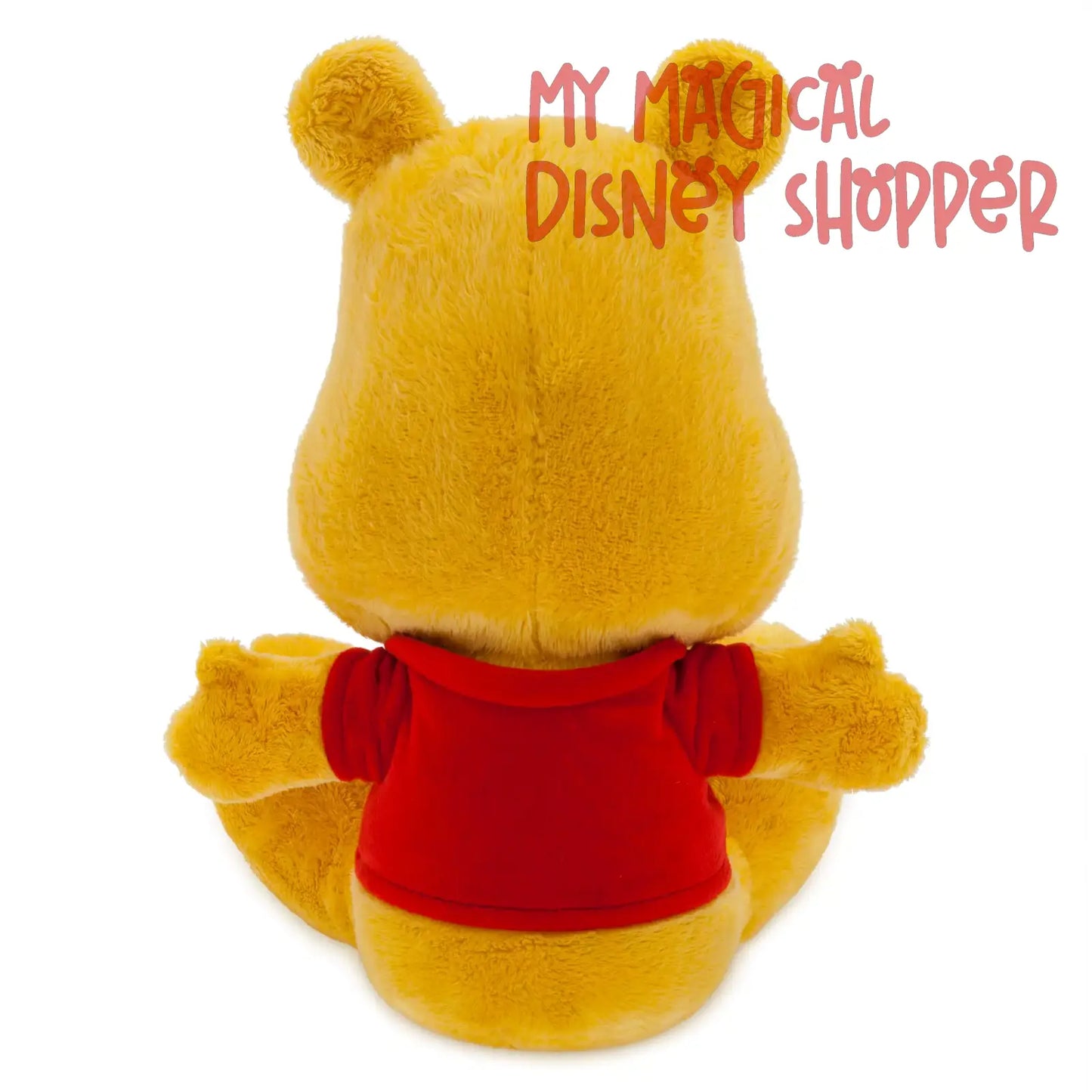 Winnie the Pooh Big Feet Plush – Small 10''