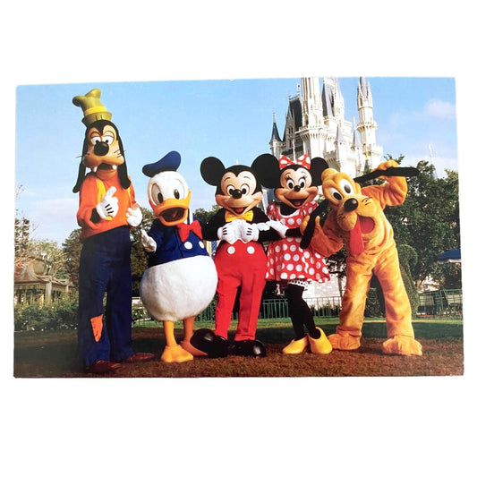 Magic Kingdom Park Cinderella Castle Mickey and Friends Disney Postcard