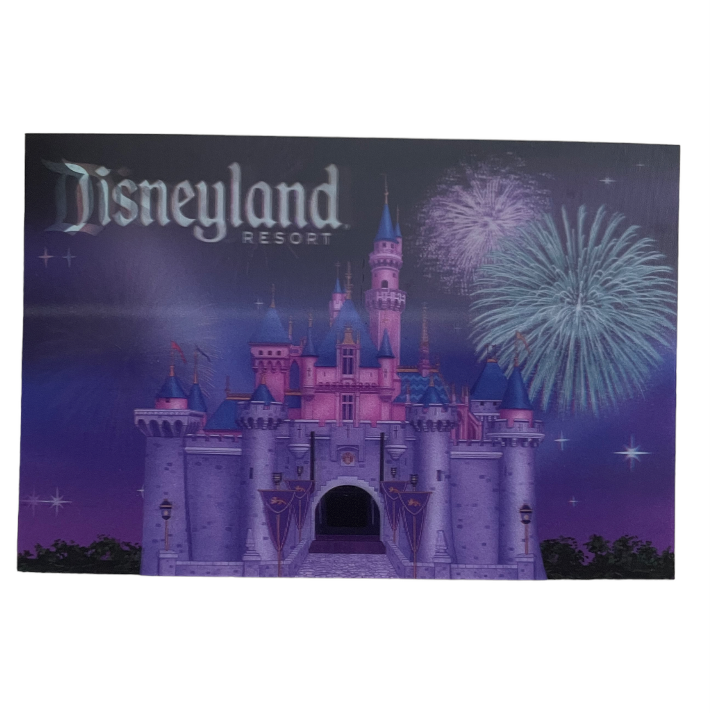 Disneyland Resort Fireworks Over Castle 3D Lenticular Postcard