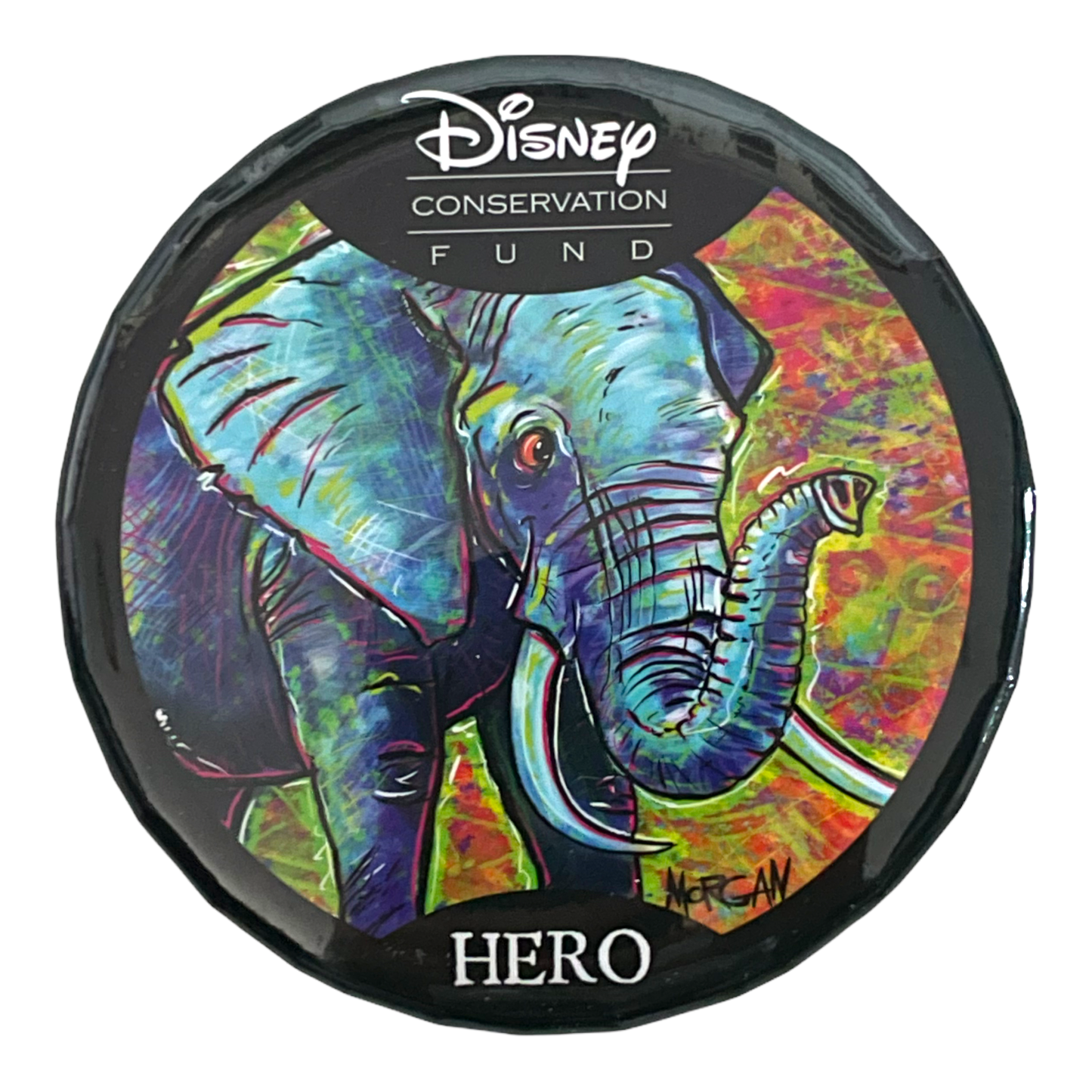 Animal Kingdom Disney Conservation Fund - Hero Button