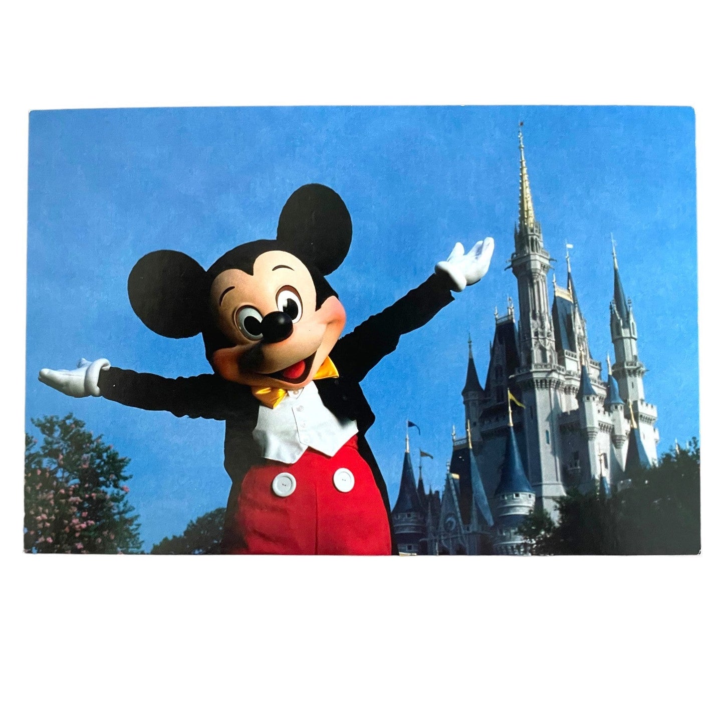 Magic Kingdom Park Cinderella Castle Mickey Mouse Disney Postcard